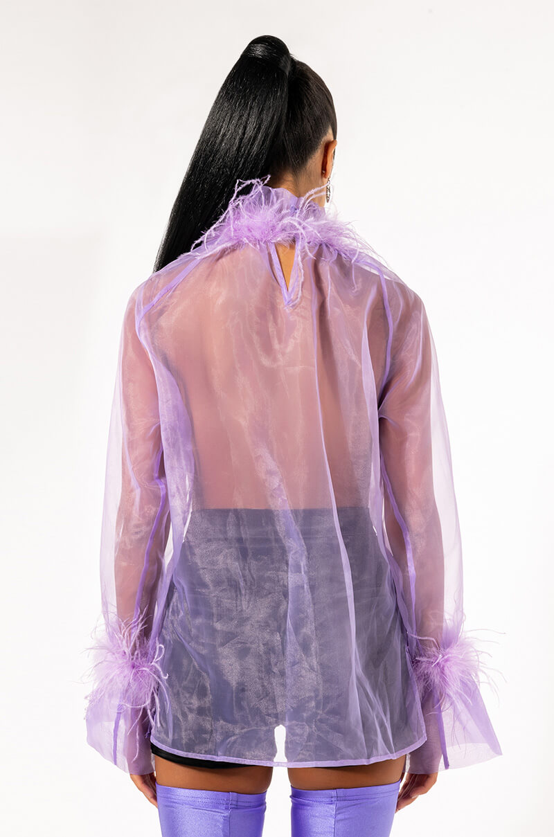 NICE TO MEET YOU FEATHER TRIM LONG SLEEVE ORGANZA BLOUSE