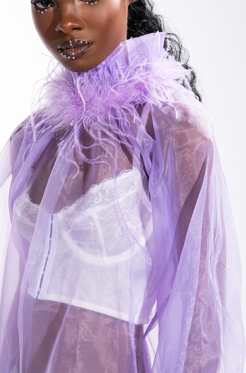 NICE TO MEET YOU FEATHER TRIM LONG SLEEVE ORGANZA BLOUSE