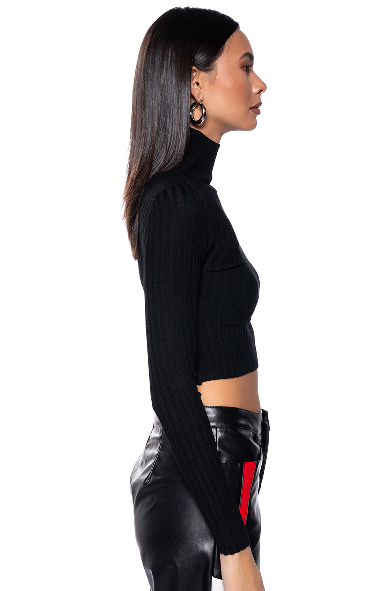 PAXTON LONG SLEEVE TURTLENECK RIB CROP SWEATER
