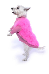 QUINN FEATHER DOGGY SWEATER
