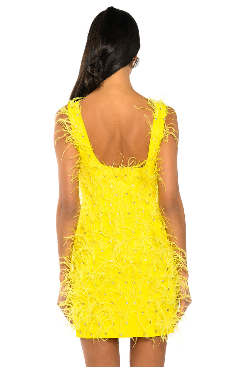 RENDEZVOUS SLEEVELESS FEATHER MINI DRESS